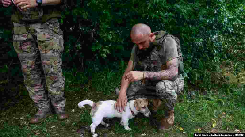 Український військовий 47-ї окремої механізованої бригади «Магура» гладить собаку, яку назвали Бредлі, на позиціях