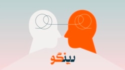 آیا هیچ زبانی ذاتاً از زبان دیگر برتر است؟ از لابلای نظرات
