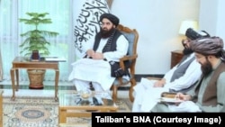 د طالبانو د بهرنیو چارو وزیر امیر خان متقي - ارشیف