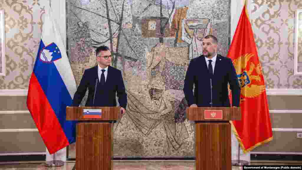 Bespilotne letjelice su kupljene od Slovenije, čije Ministarstvo odbrane je istovremeno doniralo Crnoj Gori sistem protivvazdušne podrške BANS. Nabavka dronova je sprovedena kroz model zajedničkih nabavki dvije zemlje, a primopredaju su 2.jula obavili ministri odbrane Crne Gore i Slovenije, Dragan Krapović i Marjan Šarec, na vojnom aerodromu "Knjaz Danilo" u Podgorici. 