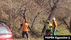 Megkezdték a fák tömeges kivágását