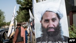 د طالبانو مشر ملا هبتالله