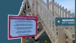 Ha meg is kapja az Orbán-kormány az uniós forrásokat, nehéz lesz teljesen elkölteni
