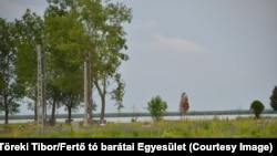 Kerítés zárja el a Fertő tó partját, így a környezetvédők is csak távolabbról tudnak felvételt készíteni a helyszínről