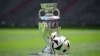 Euro 2024: Çfarë duhet të dini për Kampionatin Evropian të futbollit