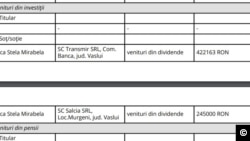 Declarația de avere a deputatului PSD Popică din care rezultă că soția sa controlează firmele Transmir și Salcia