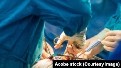 De la începutul anului, în R. Moldova s-au făcut doar trei transplanturi, dintre care două de ficat și unul renal.