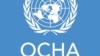 ОН: Половина милион Авганистанци го напуштија Пакистан