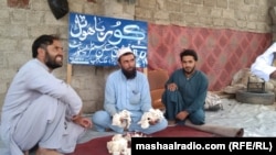 کروندګر د خرېړیو له فصل څخه ډېر خوښ دي