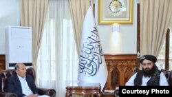 انځور: د طالبانو د حکومت د بهرنيو چارو وزير امير خان متقي او کابل کې د پاکستان سفير منصور احمد خان