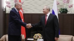 Պուտինը Սոչիում կայացած ռուս-թուրքական բանակցությունները արդյունավետ է գնահատել