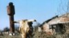 Image result for "Міхаіл Шруб"