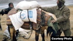  از دیدگاه سازمان خواربار و کشاورزی جهانی، که یکی از مهم ترین نهاد‌های تخصصی ملل متحد به شمار می‌رود، کمبود سرمایه گذاری در عرصه کشاورزی طی بیست سال گذشته عامل عمده نا امنی موجود در عرصه غذایی است.