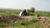 Туркменские власти борются с несанкционированным поливом посевных земель 