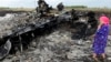 O localnică și rămășițele avionului MH17, 19 iulie 2014