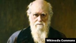 Čarls Darvin