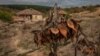Фотографиите од Колонијата „Старо Нагоричане“ со награди од Аргентина до Украина