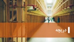 برنامه هفتگی دریچه