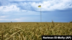 Представник Єврокомісії Балаш Уйварі: «Наразі наші зусилля зосереджені на підтримці виведення української сільськогосподарської продукції на світовий ринок»
