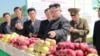Түндүк Корея лидери Ким Чен Ын айыл чарбасын кыдырган учур. Сүрөт 21-сентябрь, 2017-жылы таратылды, бирок качан тартылганы белгисиз. 