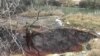 Законот ги спречува да го исчистат токсичниот отпад од „Југохром“