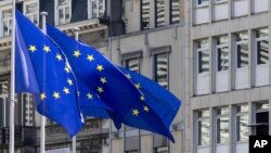 Uniunea Europeană va avea un an complicat. Multe dintre direcțiile sale vor depinde de ce va face noua administrație americană, condusă de Donald Trump. 