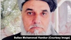 د ولسي پاڅون کوونکو قوماندان او پخوانی جهادي شخصیت سلطان محمد همکار