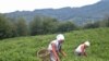 Image result for "Мікалая Зайчанкі"