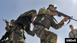 يک فرمانده مرزبانی افغانستان به خبرنگاران افغان و غربی گفته است که شماری از شبه نظاميان با عبور از خط مرزی، از ايران وارد خاک افغانستان شده اند.
