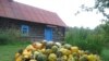 Зображення 16x9