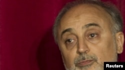 علی‌اکبر صالحی، وزیر امور خارجه ایران