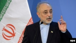 علی اکبر صالحی، رئیس سازمان انرژی اتمی ایران