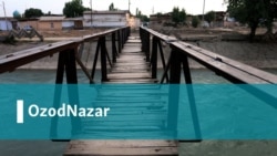OzodNazar: Тошкент Путинни Брежневни кутгандек кутиб олишга ҳозирланмоқда!"