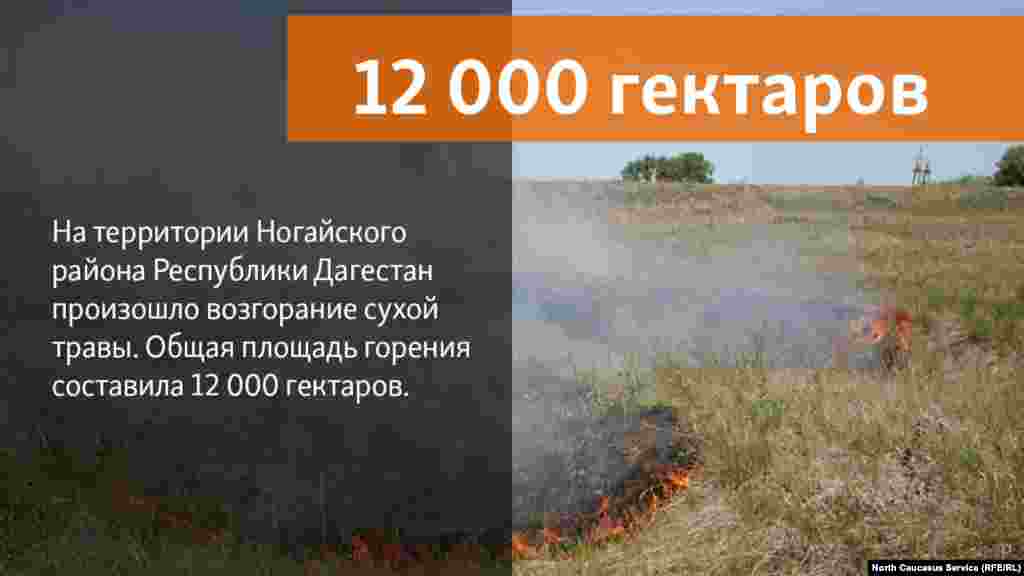 28.05.2018 // В воскресенье, 27 мая, на территории Ногайского района Республики Дагестан произошло возгорание сухой травы на пастбищах отгонного животноводства.