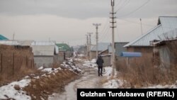 Иллюстрациялык сүрөт. 