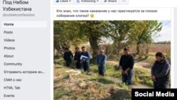 Әлеуметтік желіде жарияланған Ташкент облысы Аққорған ауданындағы егіс алқабының суғарылмағаны үшін жазаланып тұрған фермерлердің суреті.