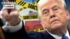 «Розлючений» Трамп. На кого злиться – на Путіна чи на Зеленського? 