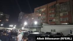 Жээнбеков менен Зулпукаровду колдоо акциясы. 