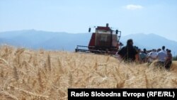 Пелагонија.