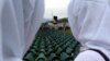 Bosnian Mass Grave Yields Over 1,000 Bodies