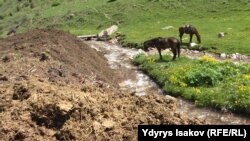 Иллюстрациялык сүрөт. 