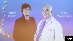 Katalin Kariko din Ungaria (S) și Drew Weissman (D) din SUA în timpul anunțării câștigătorilor Premiului Nobel pentru Fiziologie sau Medicină 2023 la Institutul Karolinska din Stockholm.