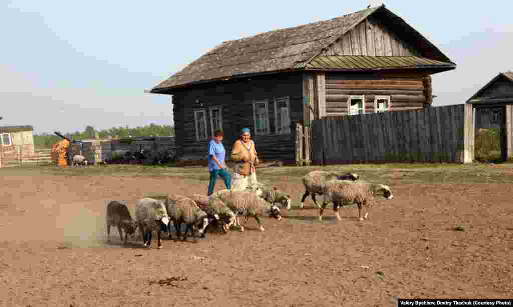 Бу якларда көтү көтү дигән эш юк. Мал-терлек үз рәхәтендә