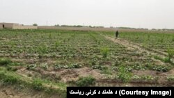 تصویر له ارشیفه