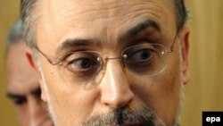 علی اکبر صالحی، رییس سازمان انرژی اتمی ایران