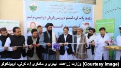 د کرنې وزیر له خوا د کندهار په صنعتي ښارګوټي کې د ممیزو د پروسس فابریکه پرانيستل شوه