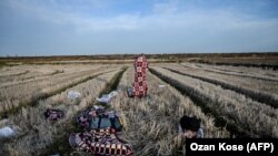 Турција- мигранти чекаат во близина на границата со Грција