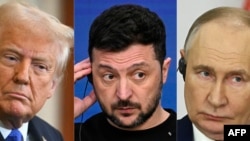 Доналд Трамп, Владимир Зеленский ва Владимир Путин