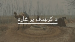د ارمي پپلک سکول بريد ويرجنيو کورنيو ته انصاف ترلاسه شو؟