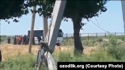 Wideodan bir kadr